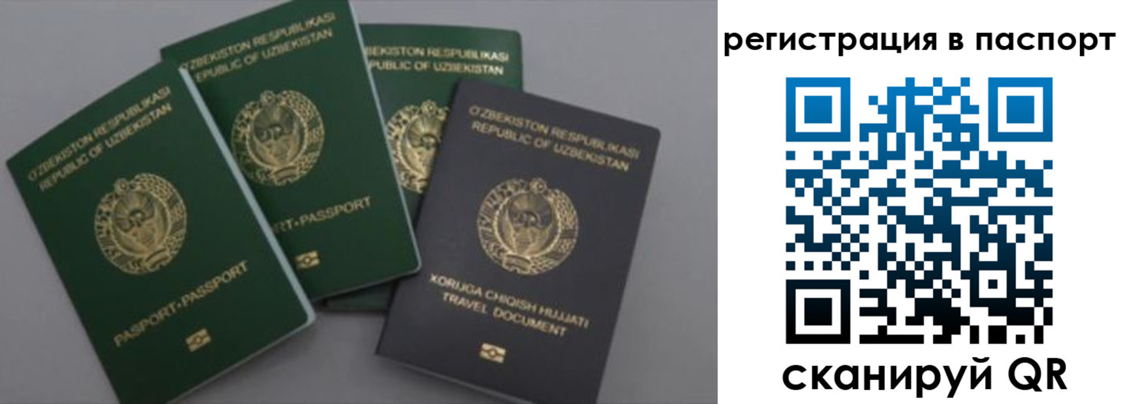 прописка от собственника в Зиме
